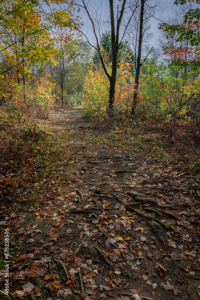 Autumn Trails (2023)