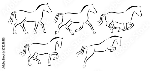 Collection de pictogrammes représentant des chevaux, une série composée de silhouettes aux contours noirs, dans différentes allures : au pas, au trot, au galop, dressage, saut.