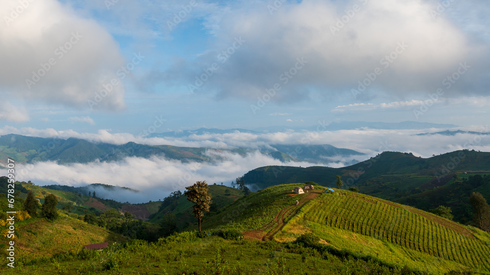 Mae Tho view point with mountains and fog in the morning at Chiang mai, Thailand
