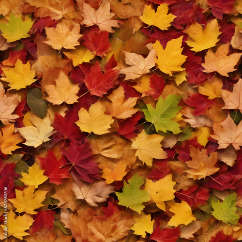 autumn leaves on a white background