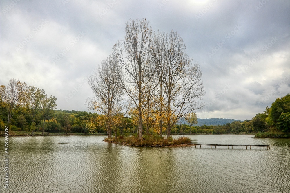 Gloomy autumn day over a lake