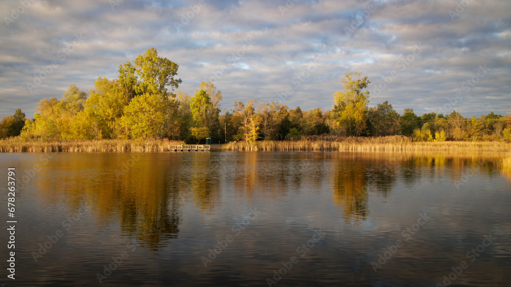 Amber Reflections