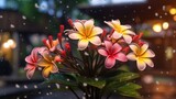 Plumeria flowers in the garden with bokeh background. Springtime Concept. Valentine's Day Concept with a Copy Space. Mother's Day.