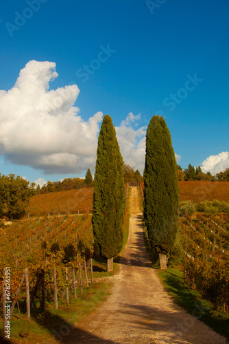 Italia  Toscana  il Chianti in autunno.