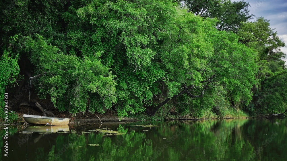 Picturesque view of a relaxing natural view of a pond with a boat surrounding by dense trees Picturesque view of a relaxing natural view of a pond with a boat surrounding by dense trees