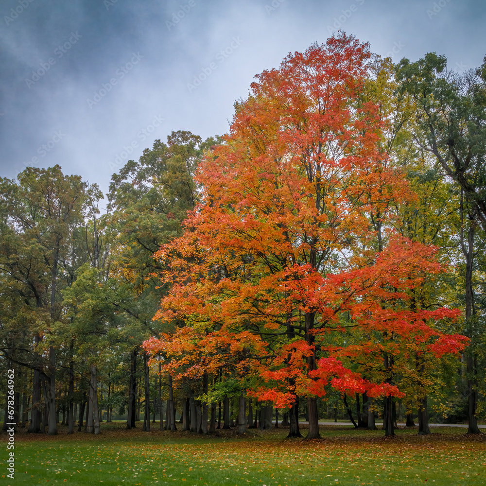Naklejka premium Flsuhing County Park (2023)