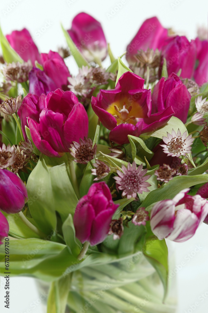 Obraz premium tulip bouquet
