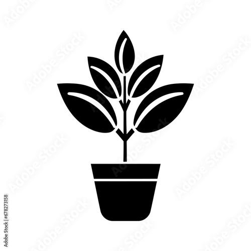ZZ plant Zamioculcas zamiifolia Icon - Simple Vector Illustration