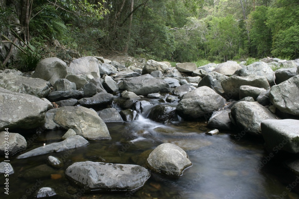 Beautiful view of the river with rocks surrounded by green trees Beautiful view of the river with rocks surrounded by green trees