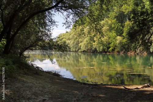 Fototapeta Naklejka Na Ścianę i Meble -  Bodies of water in the Rhine meadows