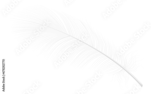 Fluffy feather. White realstic angel wing mockup