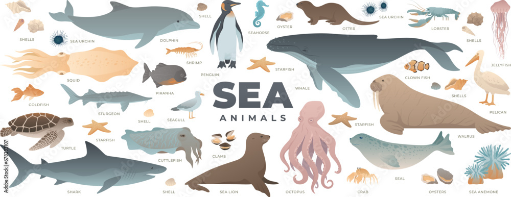 Sea animals set. Modern vector illustration of under water world. Marine life collection isolated on white background. Whale, shark, octopus, dolphin, turtle, penguin. - obrazy, fototapety, plakaty 