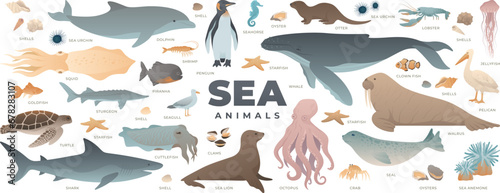 Sea animals set. Modern vector illustration of under water world. Marine life collection isolated on white background. Whale, shark, octopus, dolphin, turtle, penguin.