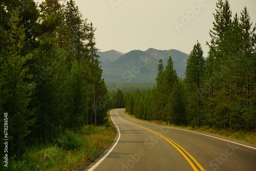 Scenic view of an asphalt road between green trees in Yellowstone National Park, USA