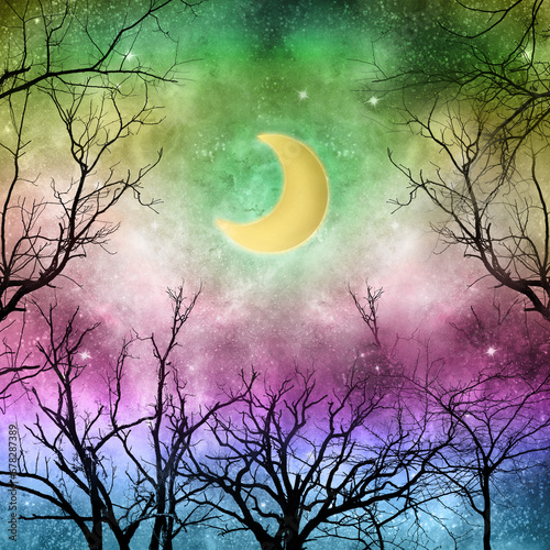 Rainbow Background Graphic - Crescent Moon Forest Design 