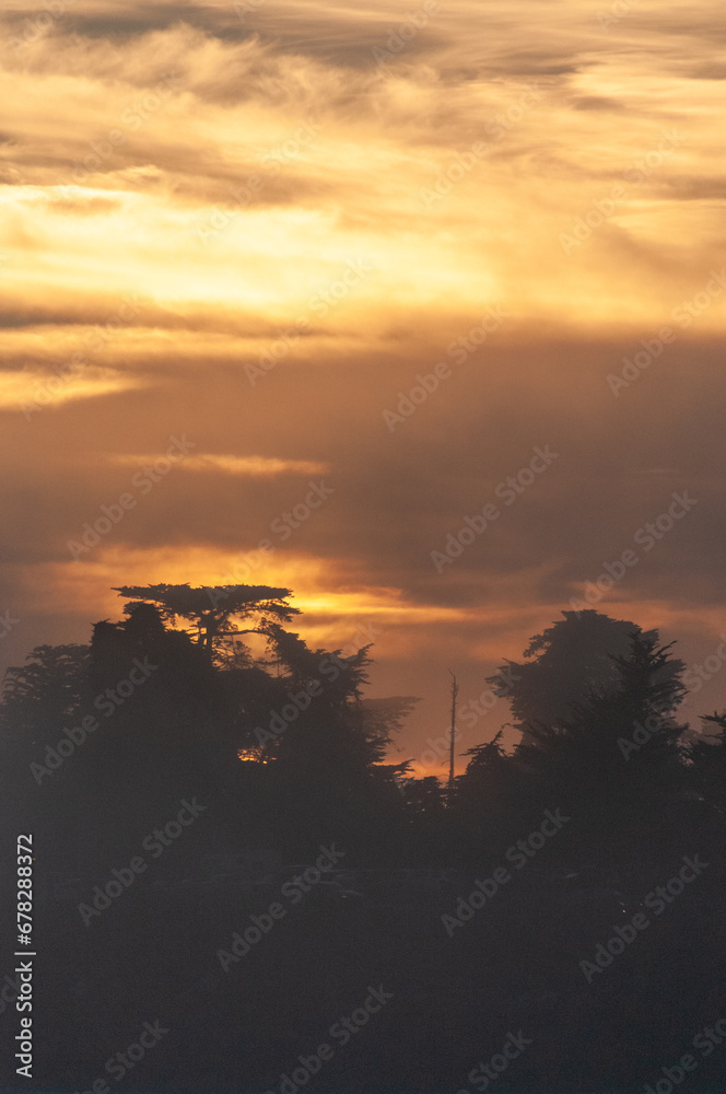 Dreamlike image of the setting sun breaking through a cloud layer and showing tree silhouttes.