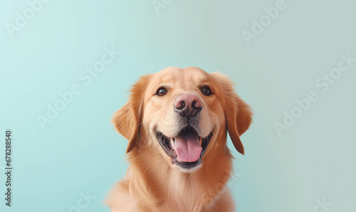 golden retriever dog, Closeup portrait of funny, cute, happy white dog, looking at the camera with mouth open isolated on colored background. Copy space.