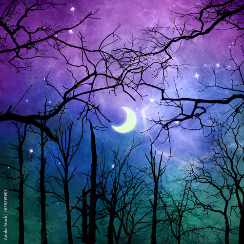 Moon Woodland Forest Background Design - Lunar Graphic