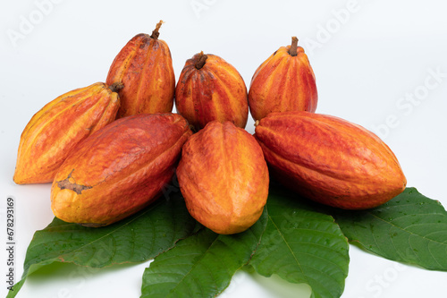 Fresh ripe of orange color cacao pods