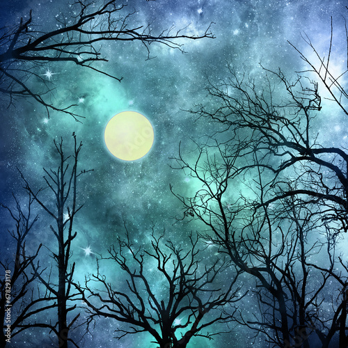 Ombre Graphic - Lunar Nature Moon Forest Background photo