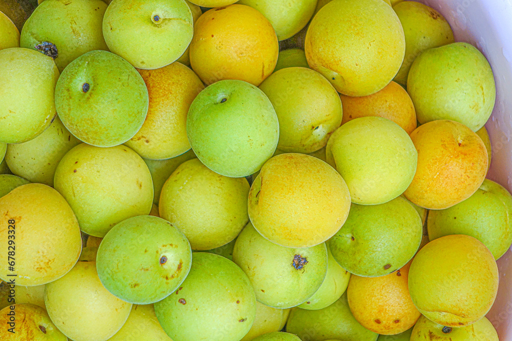 Fresh yellow  plums, light green plums background.