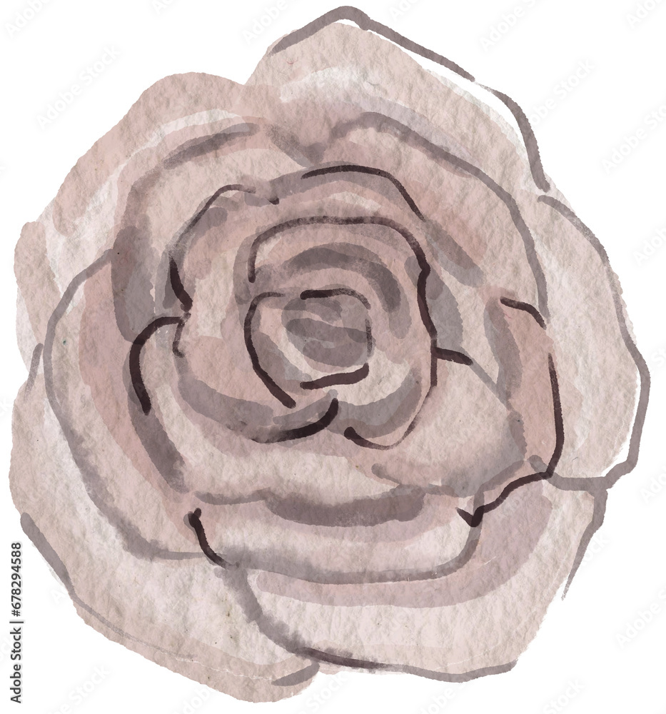 Beige rose flower illustration PNG Beige rose flower illustration PNG