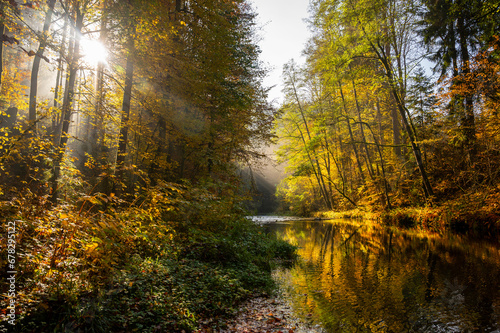 Colorful autumn forest with sunny ray on river bank, Kamenice.
