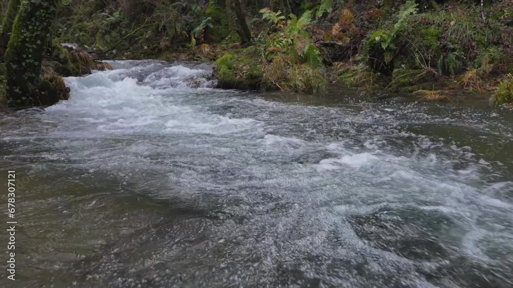 small waterfall with clear crystal water in a forest stream, nature, slow motion small waterfall with clear crystal water in a forest stream, nature, slow motion