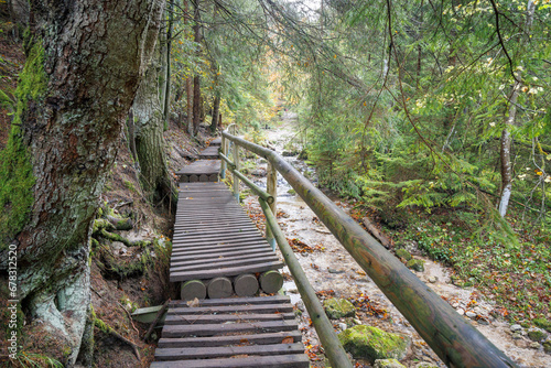 A wooden footbridge over a stream in autumn forest. The Mala Fatra national park in Slovakia, Europe.