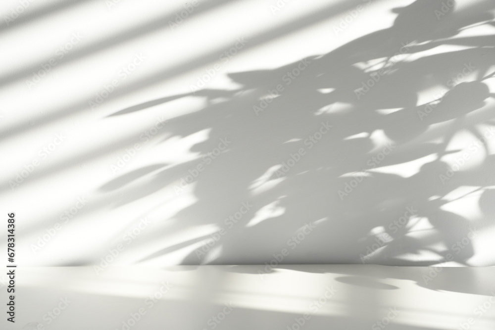 white background, shadows, plant shadows - obrazy, fototapety, plakaty 