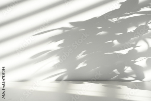 white background, shadows, plant shadows