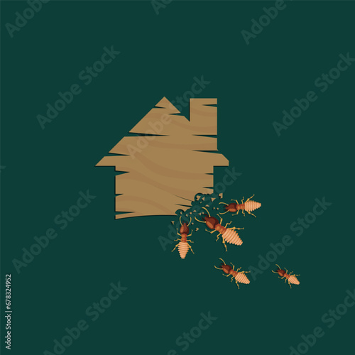 vector illustration of termites eating houses