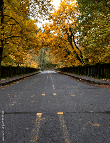 Latourell Bridge on the Historic Columbia River Highway, Columbia Gorge, Oregon, Taken in Autumn photo