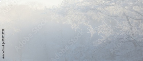 Ethereal winter scene with tree branches delicately frosted against a hazy, light-filled background