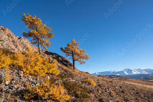 Canvas Print Color of the autumn in a valley