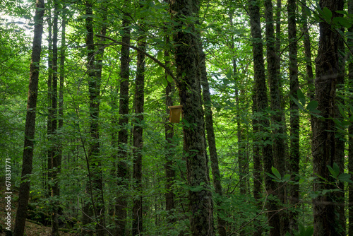 Wooden box house for bird in green forest camouflaged horizontally