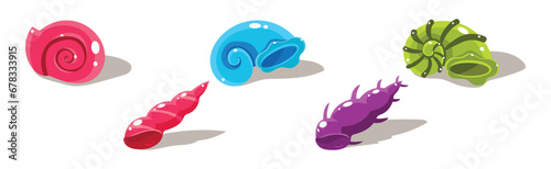Colorful Shells and Conch Sea Element Vector Set