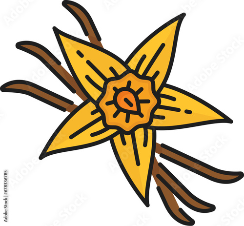 Flower and vanilla pods isolated cinnamon sticks, color icon. Vector orchid flower and leaves, vanilla flavoring condiment, aromatic spicy seasoning