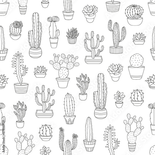 Outline cactus succulents seamless pattern. Wallpaper or textile summer print, monochrome vector pattern with desert plants. Fabric thin line seamless background with cactuses in flowerpots