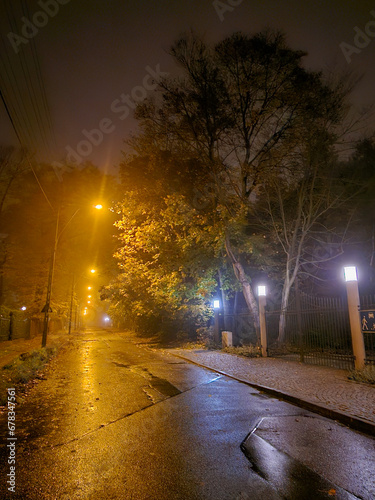 Street near Julianowski Park in Lodz lit with street lamps on a cloudy foggy autumn night, Lodz, Poland.