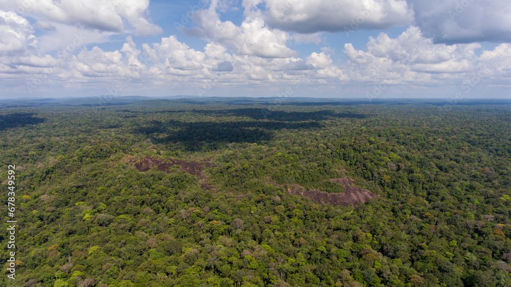 Fototapeta premium Aerial patchwork of French Guiana's dense rainforest.