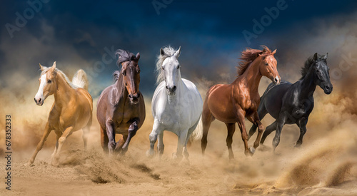 Horses run forward photo