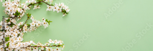 Festive banner with spring flowers, flowering cherry branches on a light green pastel background