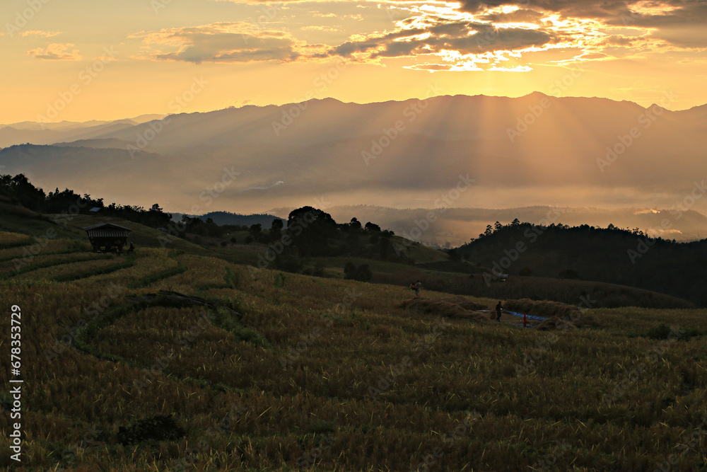Scenic sunset view on Ban Pa Pong Piang, the most beautiful rice terraces in Chiang Mai Province, Thailand 