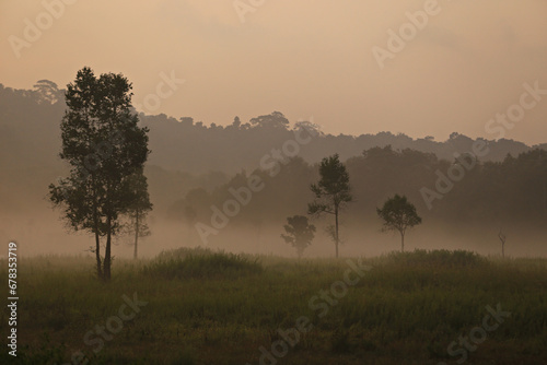 Fotografie Fresh morning air at Phu Khiao-Thung Kamang Wildlife Sanctuary, Chaiyaphum Provi