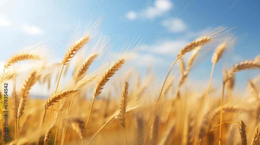 Close-up of a field of wheat. Generative Ai