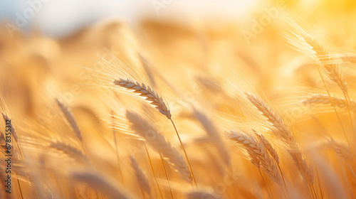 Close-up of a field of wheat. Generative Ai