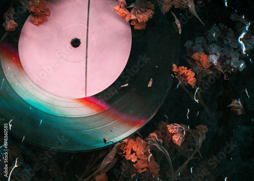 Fotografie Dry flower on vinyl record music closeup background