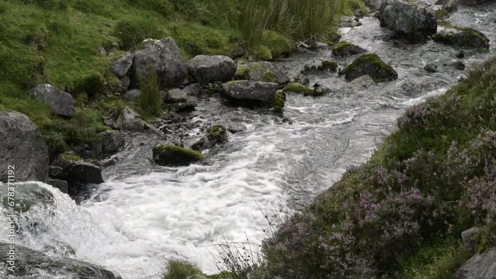 A serene, rocky stream winds its way through the landscape, its banks dressed in lush greenery and dotted with delicate purple blossoms. pano A serene, rocky stream winds its way through the landscape, its banks dressed in lush greenery and dotted with delicate purple blossoms. pano