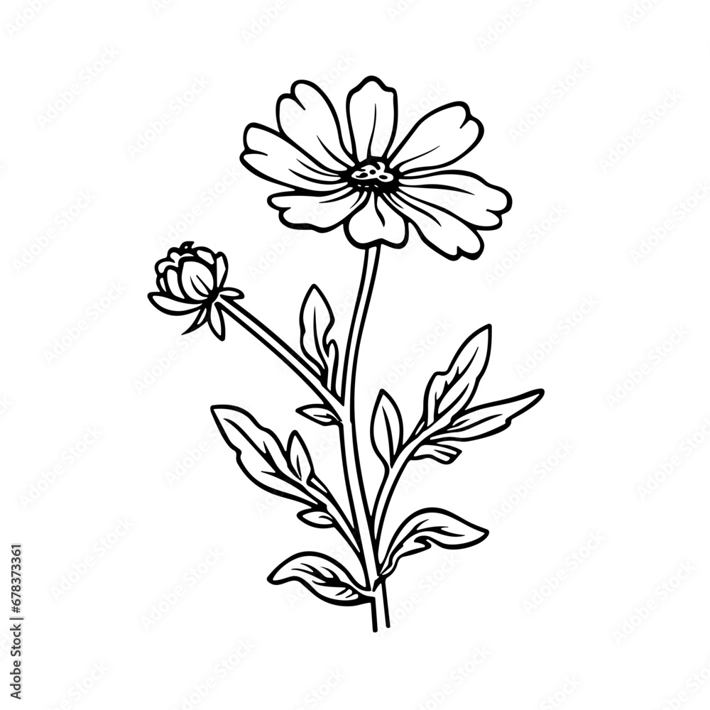 line drawing, line art png, line art prints, spring clipart, line art